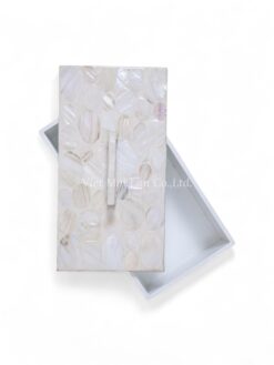 Modern Mother Of Pearl Box With Handle (2)
