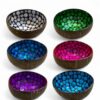 Modern Shell Coconut Bowl (1)