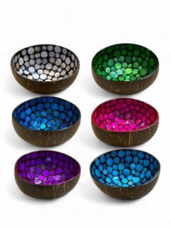 Modern Shell Coconut Bowl (1)