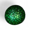 Modern Shell Coconut Bowl (2)
