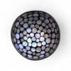 Modern Shell Coconut Bowl (4)