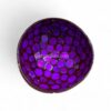 Modern Shell Coconut Bowl (5)