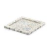 Mother Of Pearl Serving Tray Collection (1)