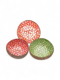 Multicolor Shell Coconut Bowl Set (1)