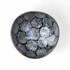 Natural Beauty Shell Coconut Bowl (4)