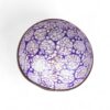 Natural Beauty Shell Coconut Bowl (6)