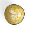 Natural Beauty Shell Coconut Bowl (8)