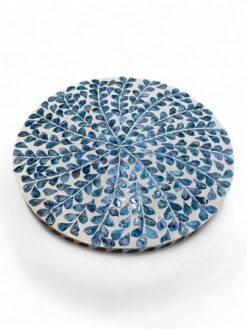 Natural Blue Shell Placemats (1)