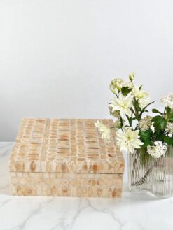 Natural Charming Capiz Jewelry Box (1)