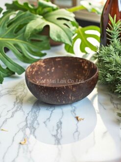 Natural Coconut Bowl (1)