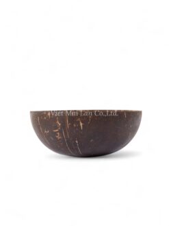 Natural Coconut Bowl (2)