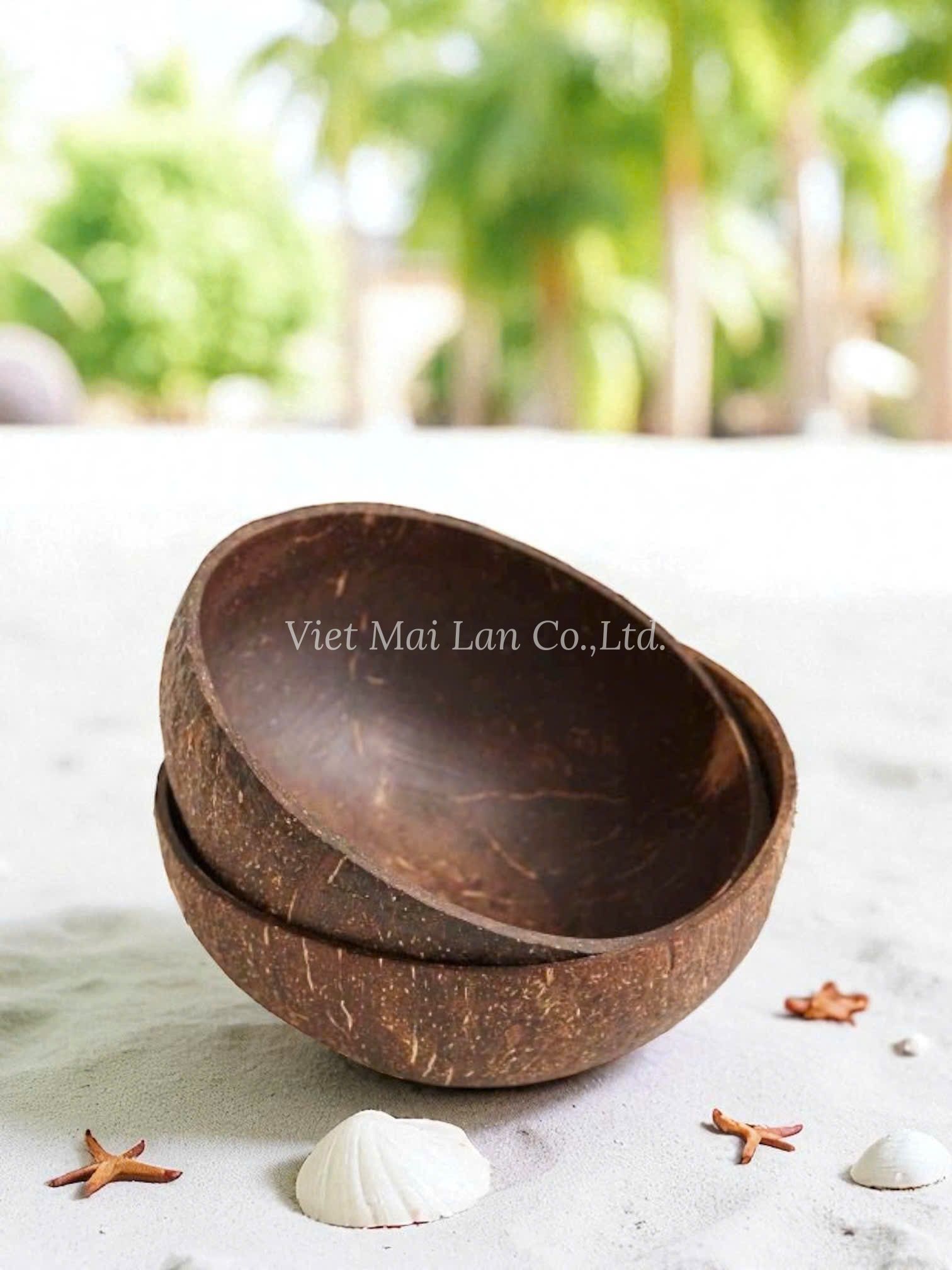 Natural Coconut Bowl