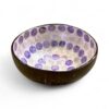 Natural Colorful Shell Coconut Bowl (4)