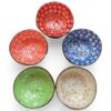 Natural Elephant Shell Coconut Bowl (1)