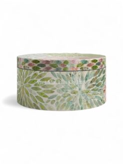 Natural Exquisite Capiz Jewelry Box (5)
