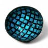 Natural Shell Coconut Bowl (1)