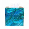 Natural Shine Mother Of Pearl Tissue Box (1)