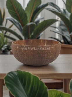 Organic Coconut Bowl (1)