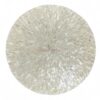 Pearl White Shell Placemats (1)