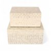 Polished Mother Of Pearl Box (1)