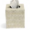 Polished Mother Of Pearl Tissue Box (1)