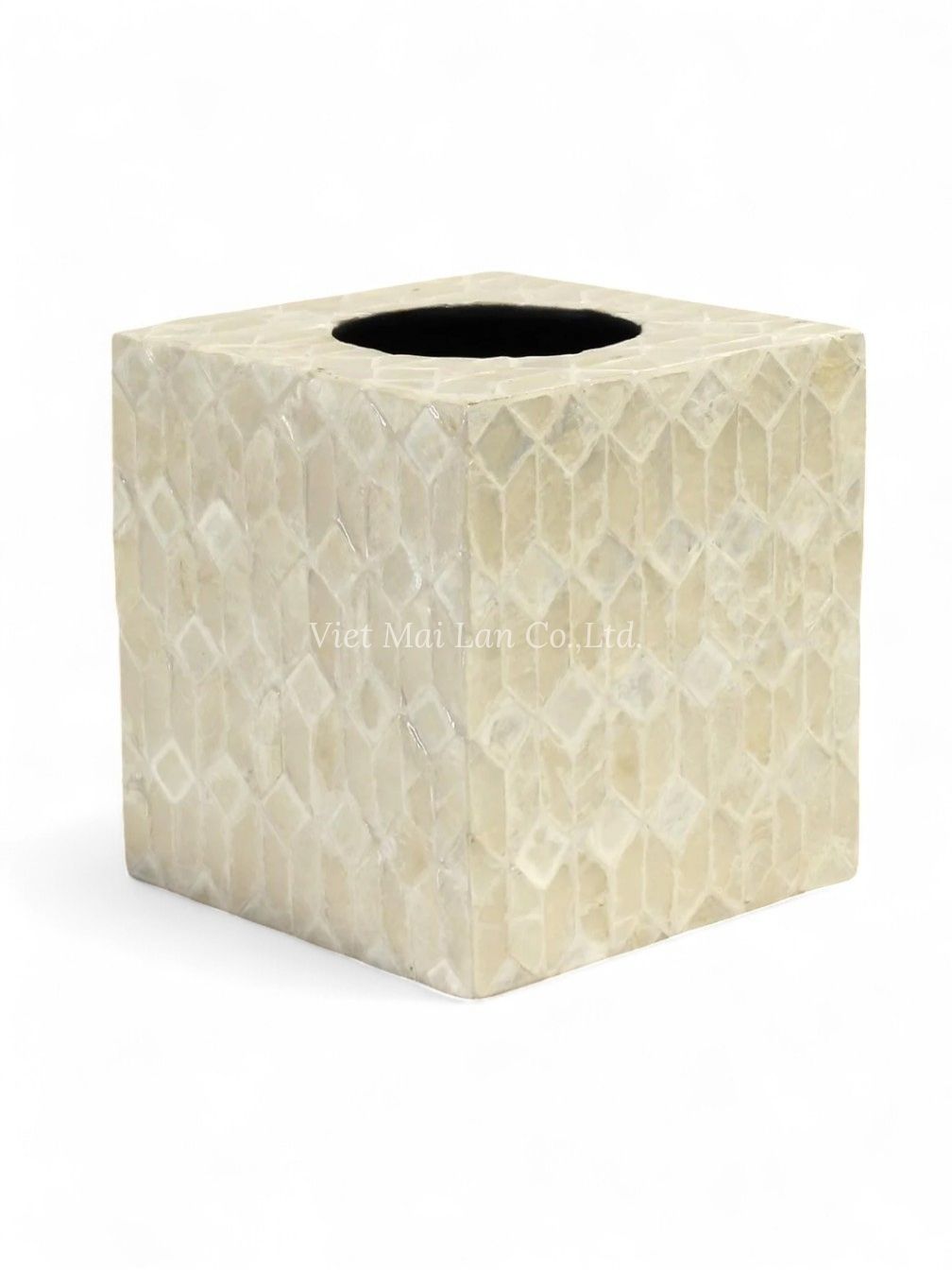 Polished Mother Of Pearl Tissue Box (2)