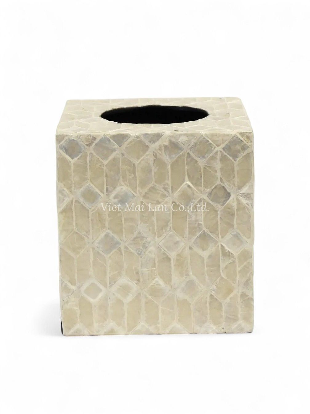 Polished Mother Of Pearl Tissue Box (4)