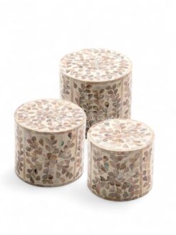 Premium Natural Shell Cake Stand (1)