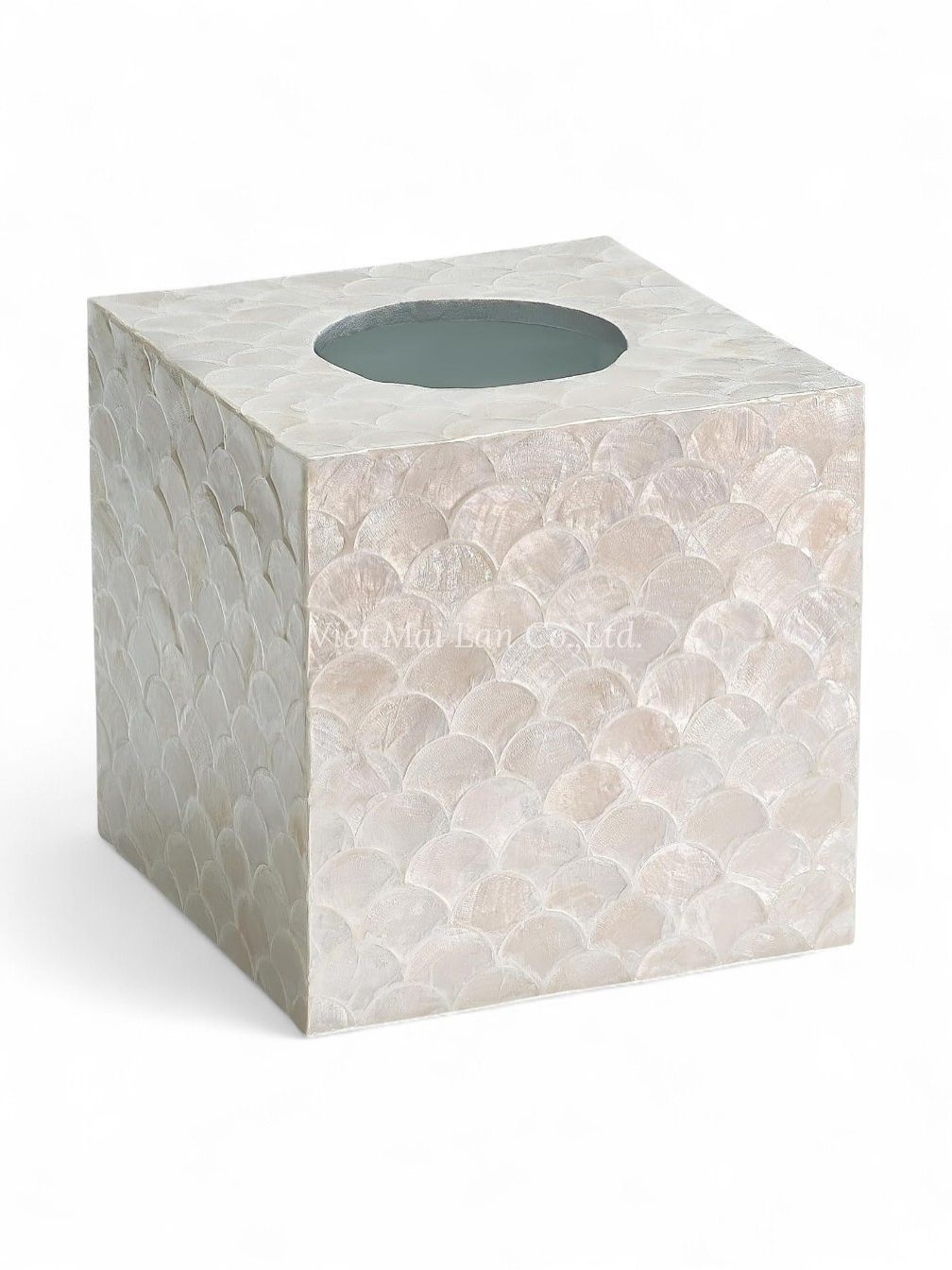 Radiant Mother Of Pearl Tissue Box (1)