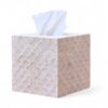 Radiant Mother Of Pearl Tissue Box (2)