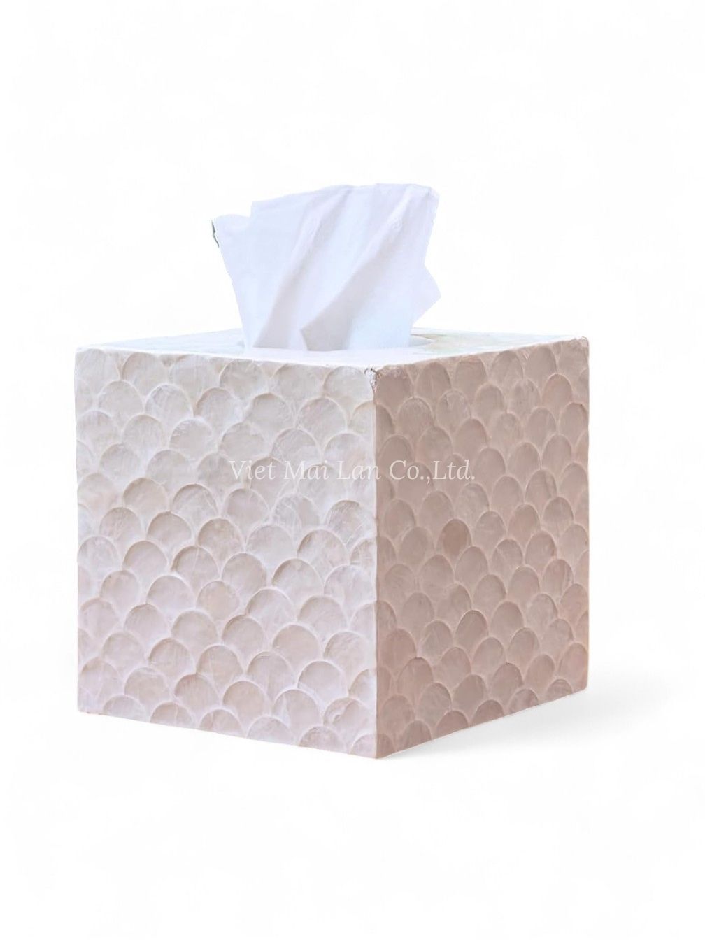 Radiant Mother Of Pearl Tissue Box (2)