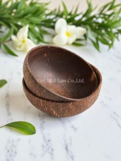 Set Of 2 Smoothie Coconut Bowls (1)