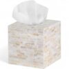 Shimmer Mother Of Pearl Tissue Box (1)