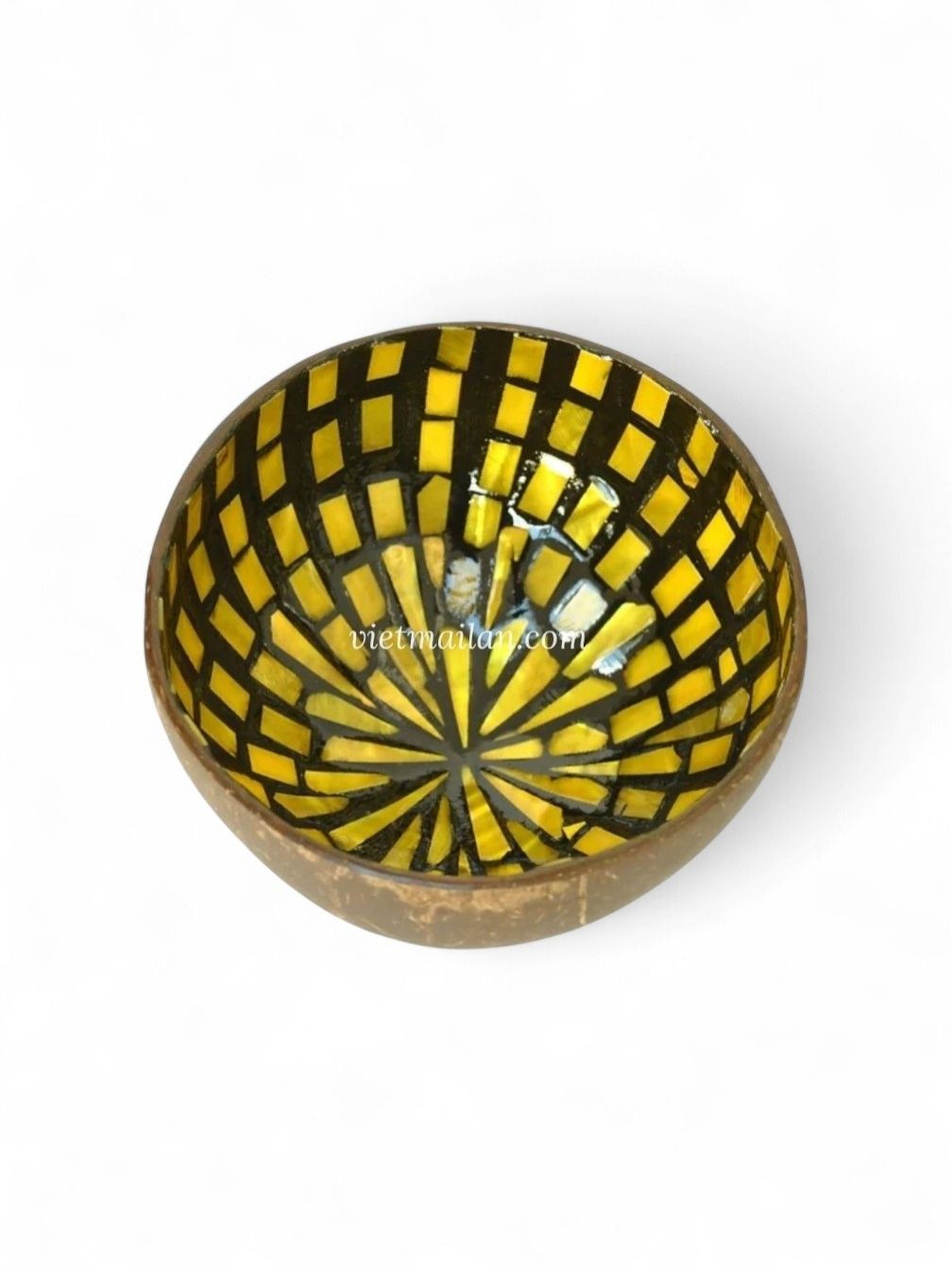 Shimmering Mother Of Pearl Coconut Bowl (3)