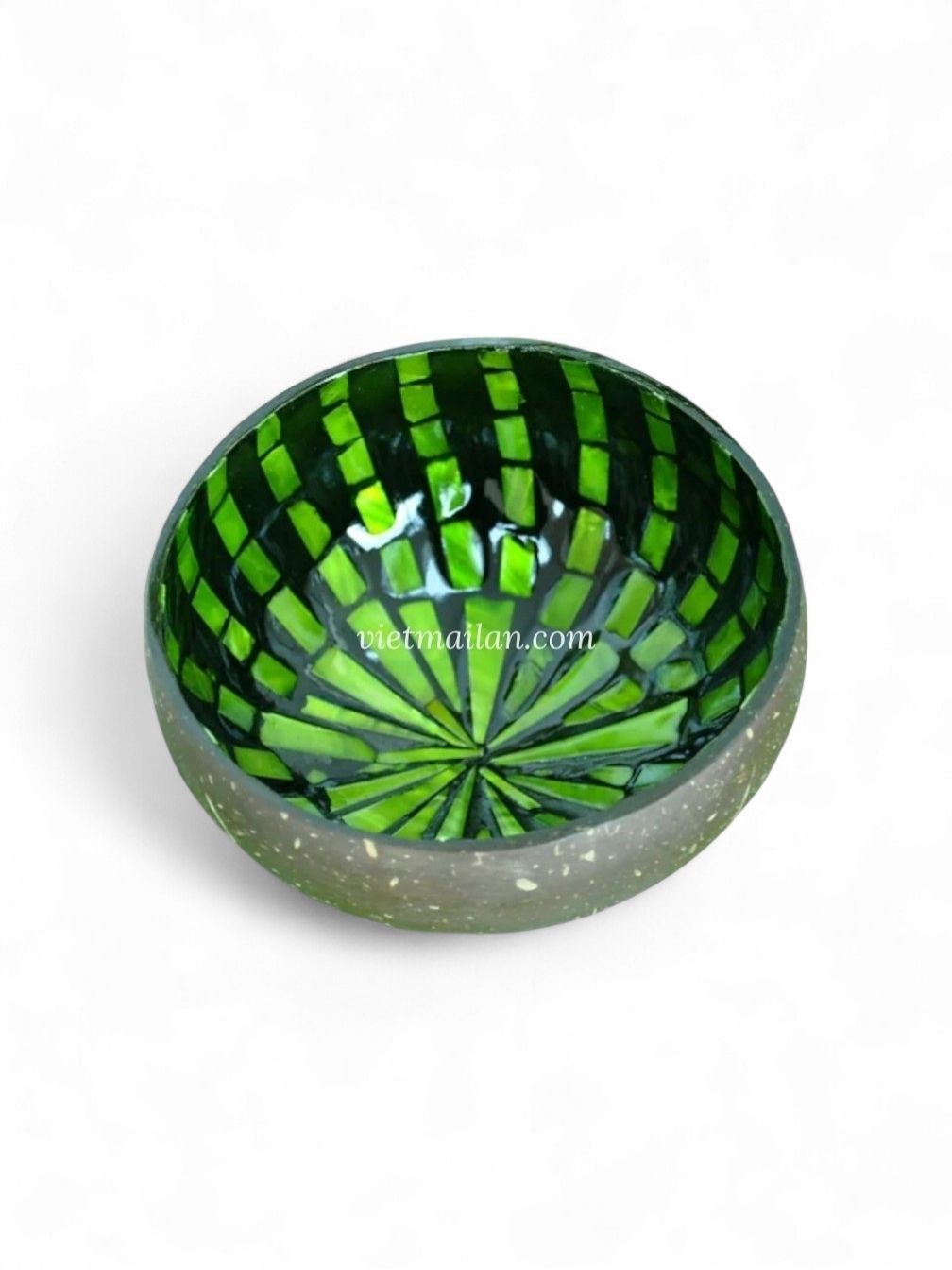 Shimmering Mother Of Pearl Coconut Bowl (5)