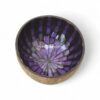 Shimmering Mother Of Pearl Coconut Bowl (6)