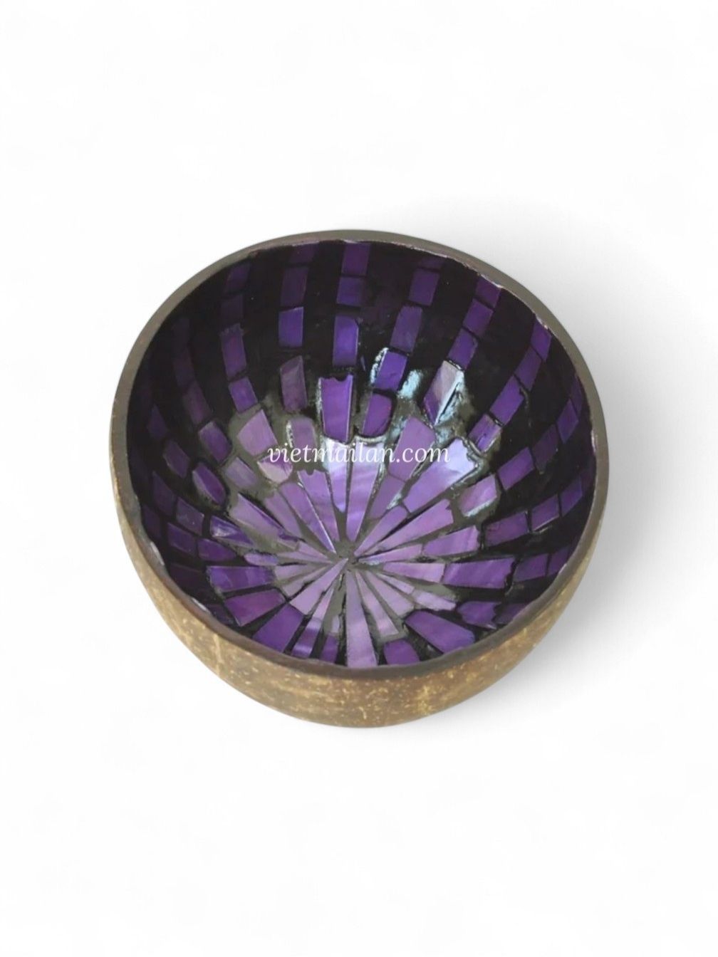 Shimmering Mother Of Pearl Coconut Bowl (6)