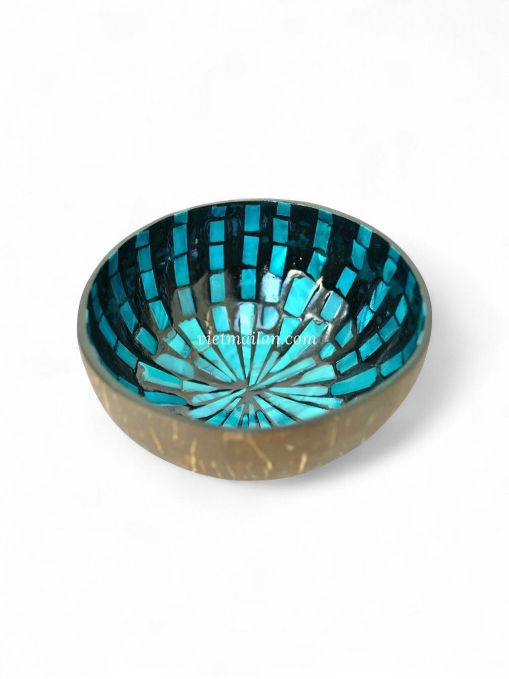 Shimmering Mother Of Pearl Coconut Bowl (7)