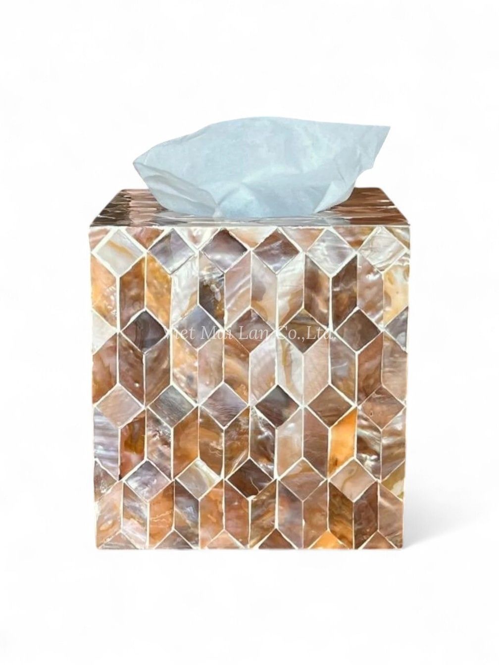 Shimmering Mother Of Pearl Tissue Box (2)