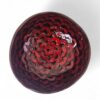 Shiny Rainbow Shell Coconut Bowl (3)