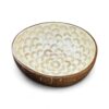 Shiny Rainbow Shell Coconut Bowl (4)