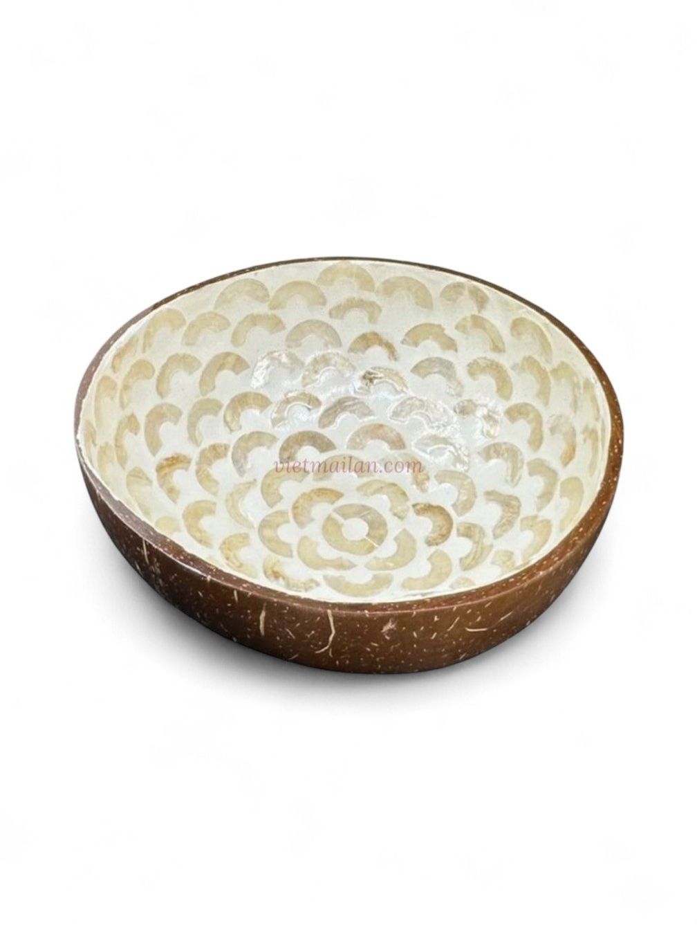 Shiny Rainbow Shell Coconut Bowl (4)