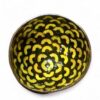 Shiny Rainbow Shell Coconut Bowl (5)