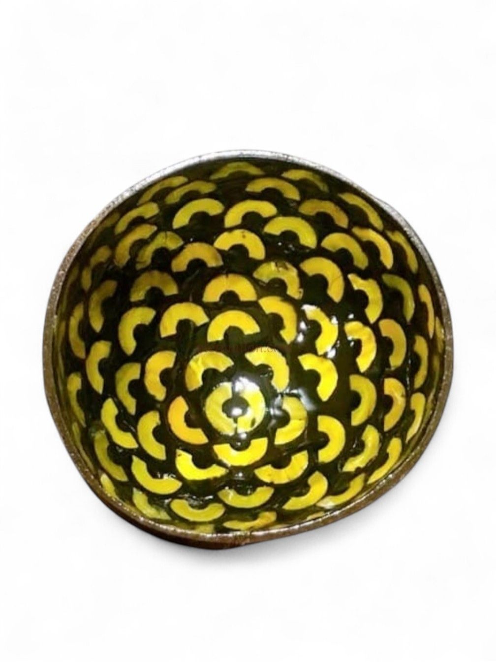 Shiny Rainbow Shell Coconut Bowl (5)