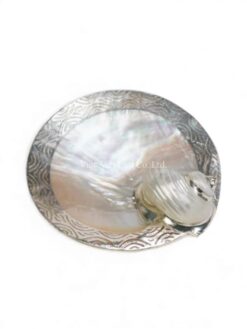 Chic Mother Of Pearl Caviar Plate (3)