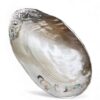 Coastal Mother Of Pearl Seashell Dish (1)