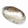 Coastal Mother Of Pearl Seashell Dish (2)