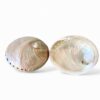 Eco Friendly Mother Of Pearl Caviar Plate (2)