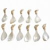 Eco Friendly Mother Of Pearl Spoon (3)