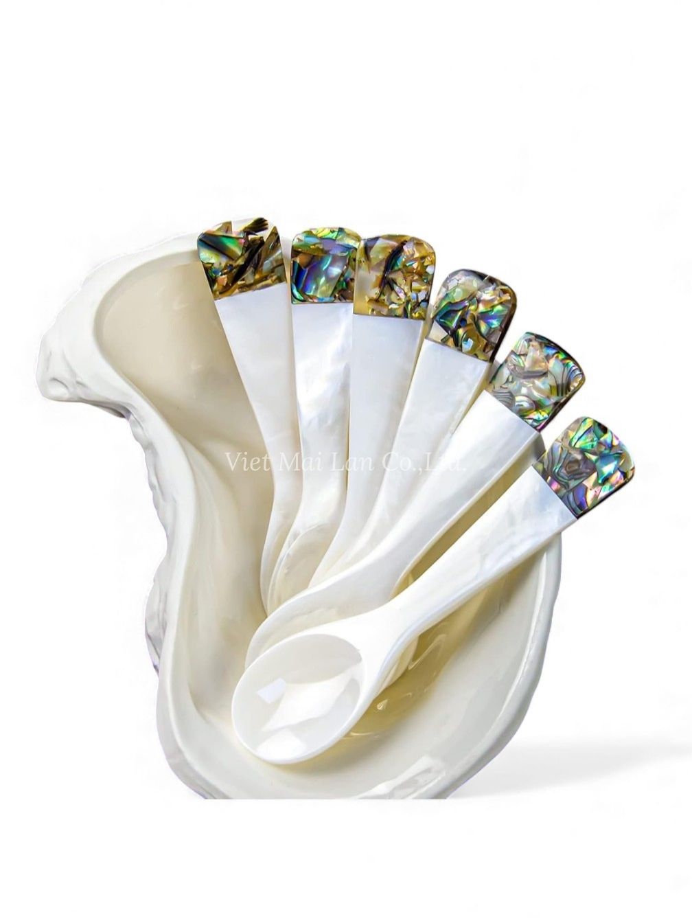 Exquisite Mother Of Pearl Caviar Spoon (1)